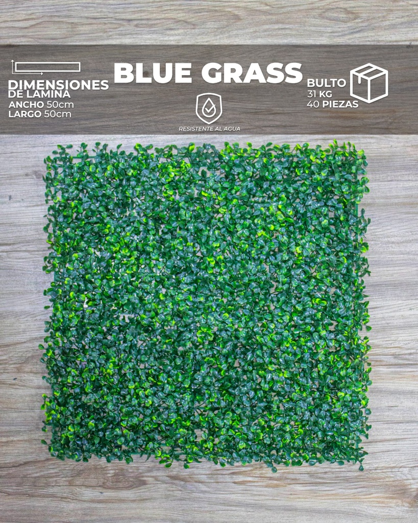 WALL PLANT BLUE GRASS (50X50X8cm)