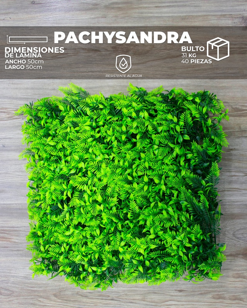 WALL PLANT PACHYSANDRA (50X50X8CM)