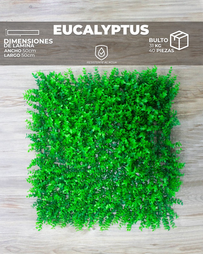 [WT0001] WALL PLANT EUCALYPTUS (50X50X8cm)