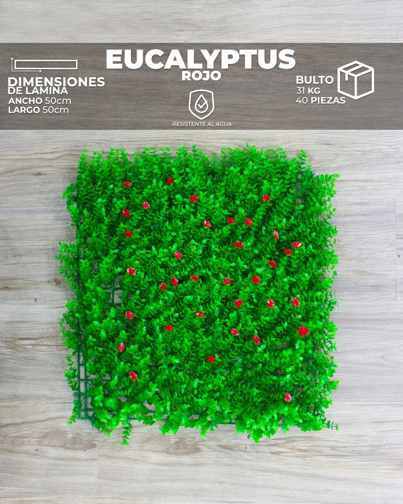 [WT0002] WALL PLANT EUCALYPTUS RED (50X50X8cm)