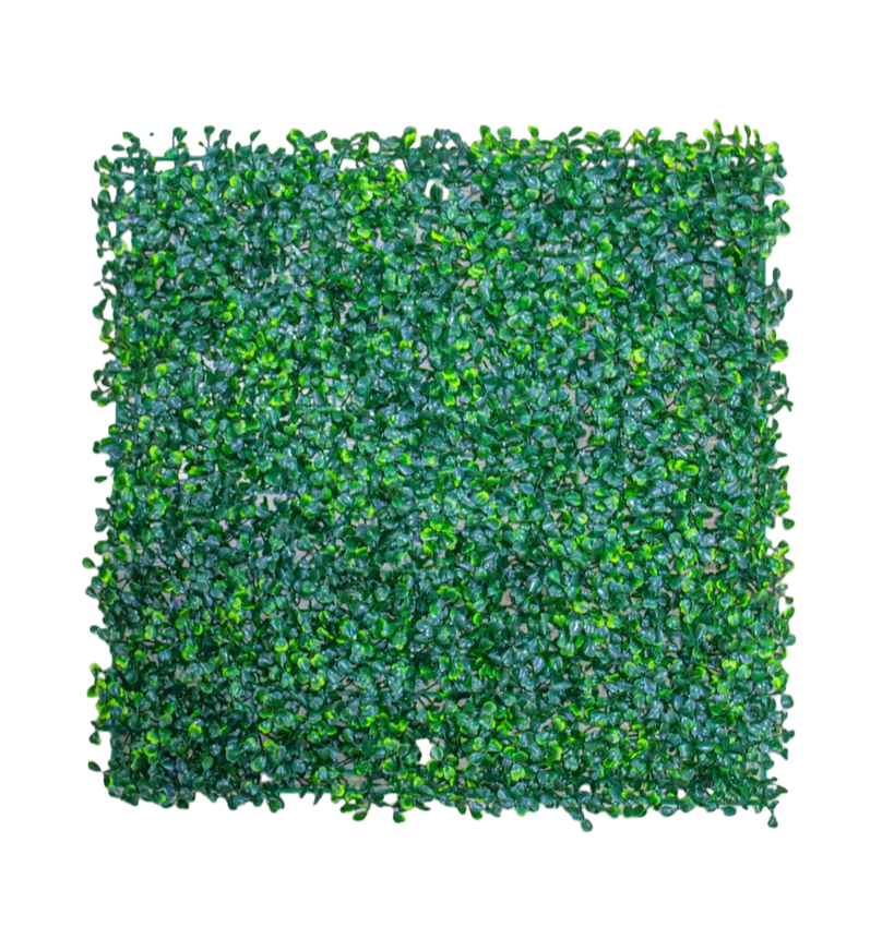 [WT0005] WALL PLANT BLUE GRASS (1mt x 1mt)