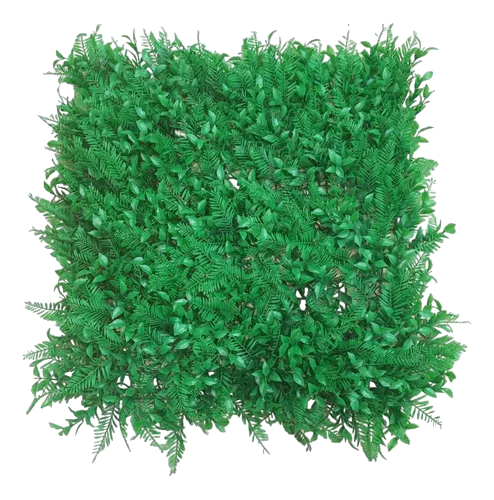 [WT0007]  WALL PLANT PACHYSANDRA (1mt x 1mt)