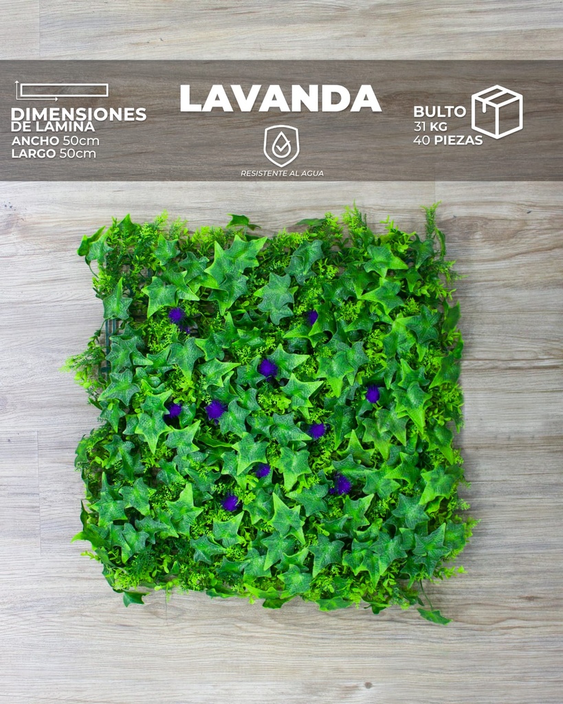 [WT0010] WALL PLANT LAVANDA (50x50x3cm)