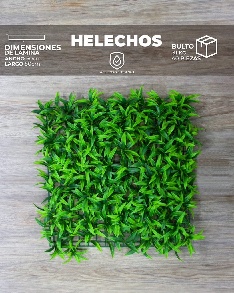[WT0011] WALL PLANT HELECHOS (50x50x3cm)