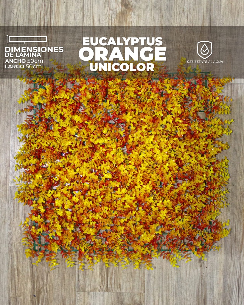 [WU0004] WALL PLANTS EUCALYPTUS ORANGE UNICOLOR (50 x 50 x 8cm)