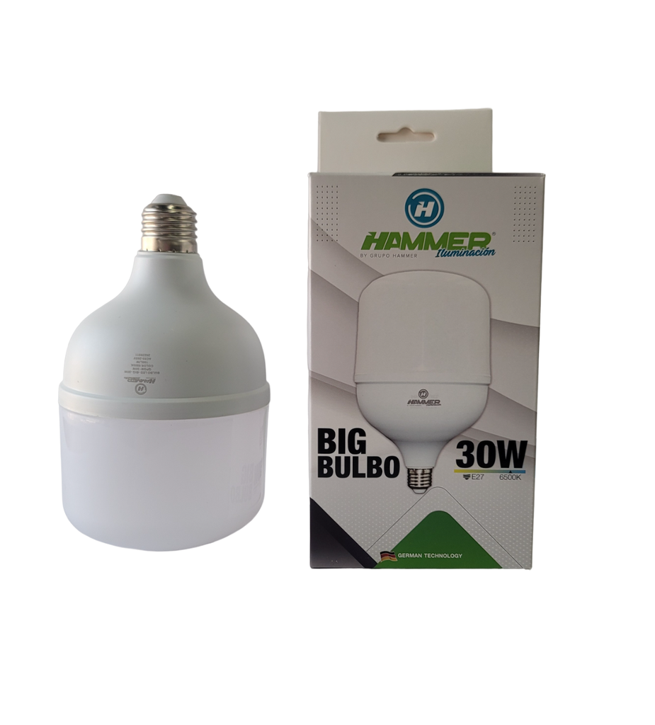 [QPGM-30W] BULBO LED - BIG - E27 - 30W - 65K - 100 L/W - 30.000 HORAS - 85/265 VOLTS